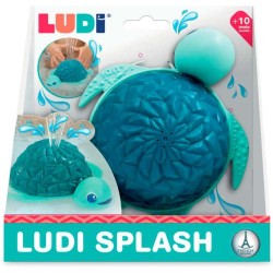 Tartaruga Asperosa LUDI
